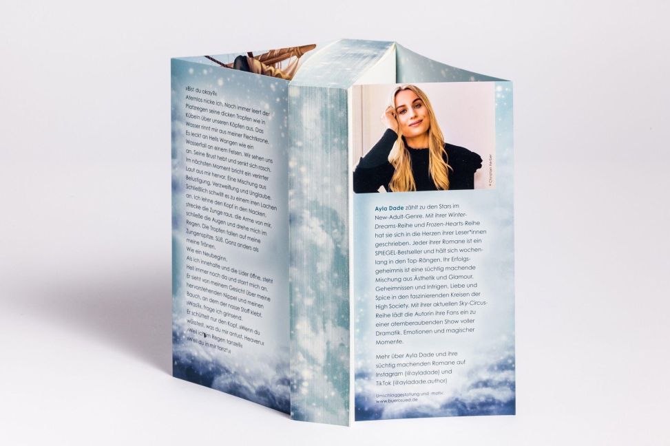 InsideView 4