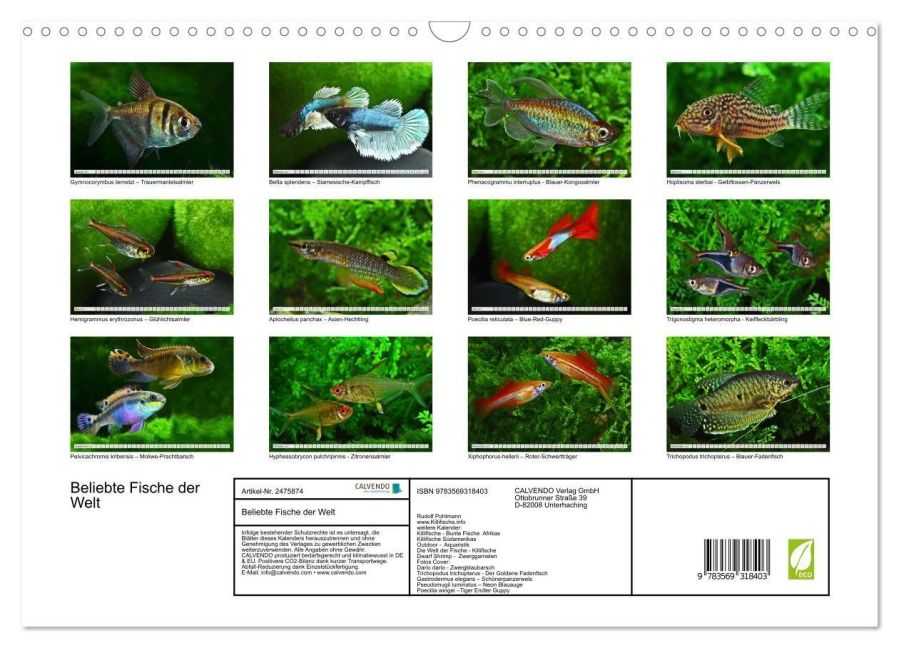 InsideView 5