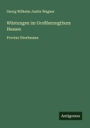 Cover-Bild zum Titel 'Wüstungen im Großherzogthum Hessen' von 'Georg Wilhelm Justin Wagner'