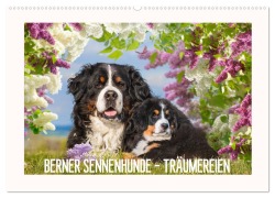Cover-Bild zum Titel 'Berner Sennenhunde - Träumereien (Wandkalender 2026 DIN A2 quer), CALVENDO Monatskalender' von 'Sigrid Starick'