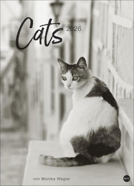 Cats Edition Kalender 2026 - 
