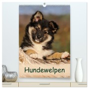 Cover-Bild zum Titel 'Hundewelpen (hochwertiger Premium Wandkalender 2026 DIN A2 hoch), Kunstdruck in Hochglanz' von 'Katho Menden'
