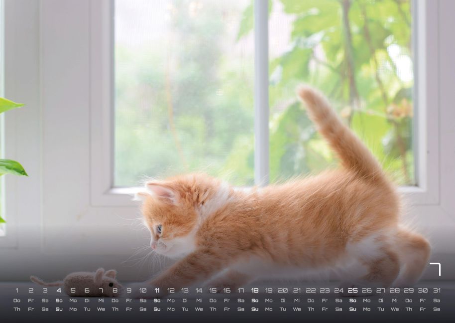 InsideView 7