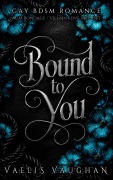 Cover-Bild zum Titel 'Bound to you' von 'Vaelis Vaughan'