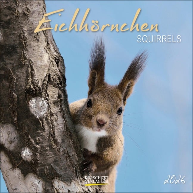 Eichhörnchen 2026 - 