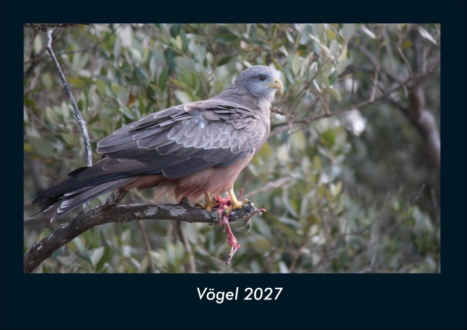 Vögel 2027 Fotokalender DIN A4 - Tobias Schmitt, Kevin Heber