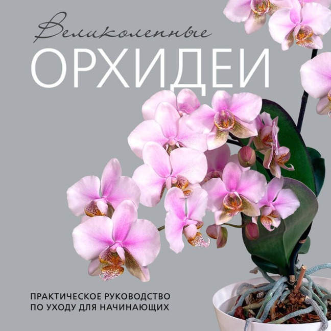 Velikolepnye orhidei. Praktichnoe rukovodstvo po uhodu dlya nachinayuschih - Elena Bachurina