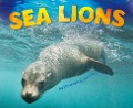 Sea Lions - Elizabeth R. Johnson