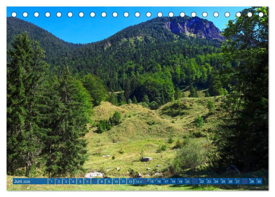 InsideView 11