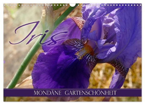 Iris - mondäne Gartenschönheit (Wandkalender 2024 DIN A3 quer), CALVENDO Monatskalender - Christine B-B Müller