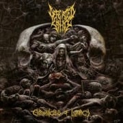 Chronicles Of Lunacy (Jewel Case) - Defeated Sanity