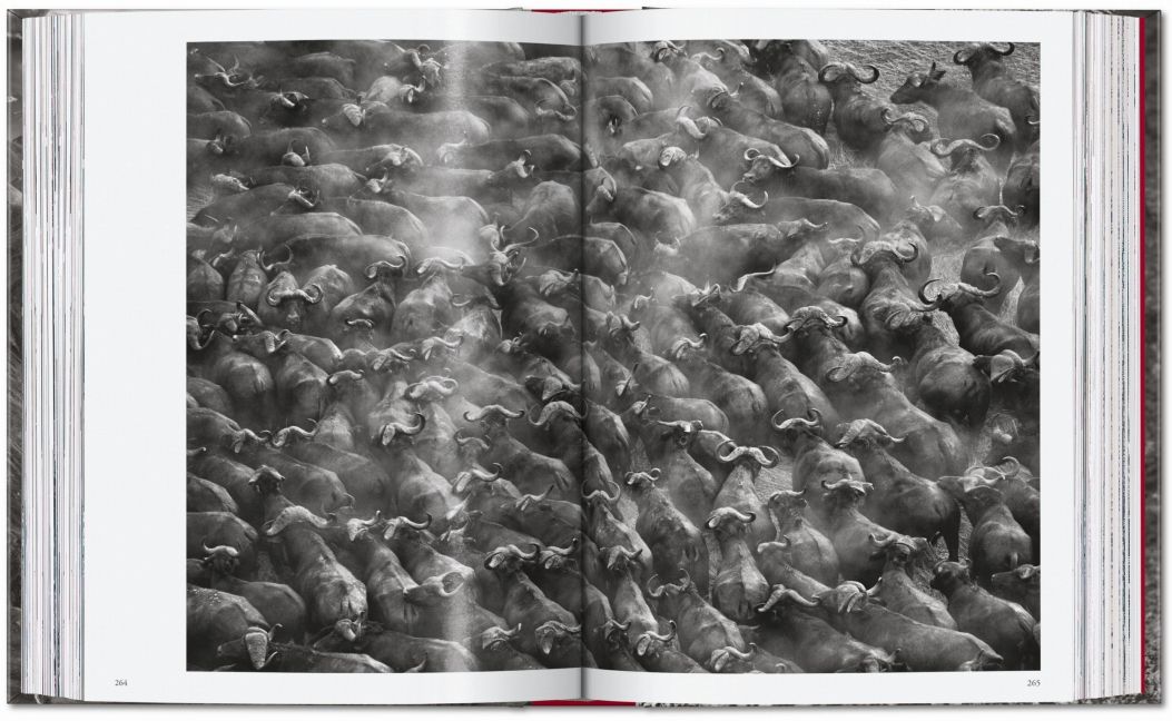 InsideView 13