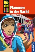 Cover-Bild zum Titel 'Die drei !!!, 63, Flammen in der Nacht (drei Ausrufezeichen)' von 'Maja von Vogel'