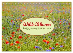 Cover-Bild zum Titel 'Wilde Blumen - ein Spaziergang durch die Natur (Tischkalender 2026 DIN A5 quer), CALVENDO Monatskalender' von ''