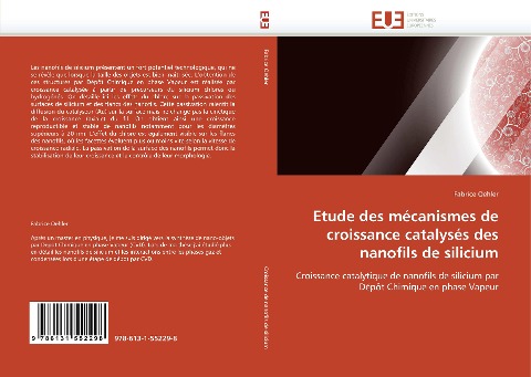 Etude des mécanismes de croissance catalysés des nanofils de silicium - Fabrice Oehler