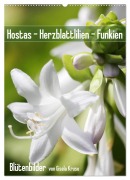 Hostas Herzblattlilien Funkien (Wandkalender 2026 DIN A2 hoch), CALVENDO Monatskalender - Gisela Kruse