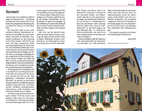 InsideView 1