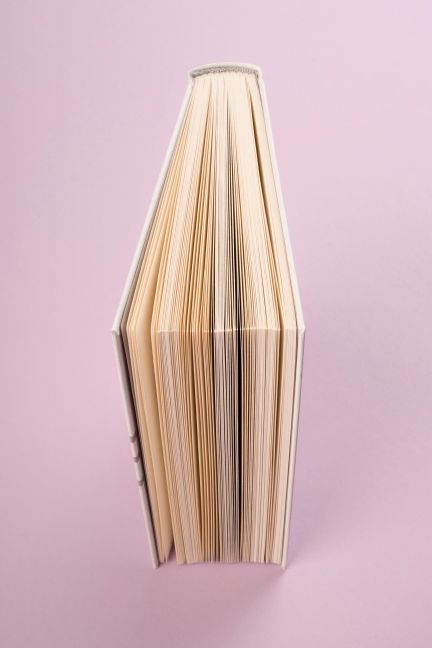 InsideView 3