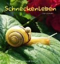 Cover-Bild zum Titel 'Schneckenleben' von 'Theres Buholzer'