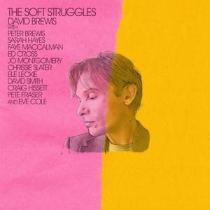 The Soft Struggles - David Brewis