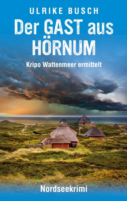 Der Gast aus Hörnum - Ulrike Busch