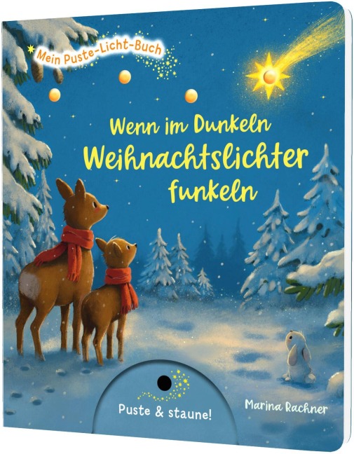 Mein Puste-Licht-Buch: Wenn im Dunkeln Weihnachtslichter funkeln - Sylvia Tress