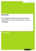 Cover-Bild zum Titel 'Der Magische Realismus Lateinamerikas, dargestellt an Arturo Uslar Pietris cuento "La lluvia"' von 'Silvia Nulle'