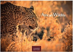 Cover-Bild zum Titel 'Wilde Tiere Afrikas Kalender 2027 - Wandkalender | Fotokalender Afrika 35x50cm | Naturfotografie | Tierkalender Afrika | Geschenk für Naturliebhaber' von ''