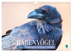 Cover-Bild zum Titel 'Rabenvögel: Schwarz, schlau, schön (Wandkalender 2026 DIN A4 quer), CALVENDO Monatskalender' von 'Calvendo Calvendo'