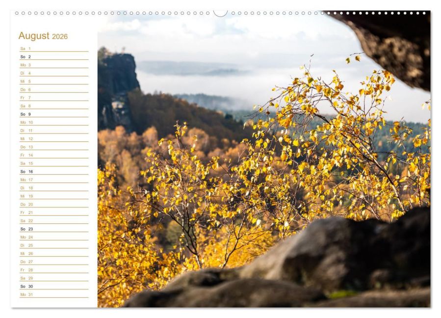 InsideView 13