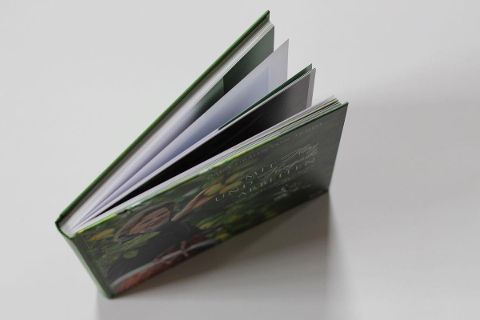 InsideView 4