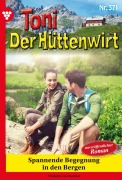 Cover-Bild zum Titel 'Spannende Begegnung in den Bergen' von 'Friederike von Buchner'