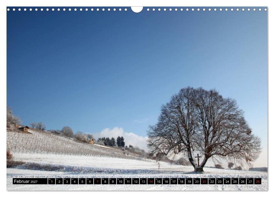 InsideView 7