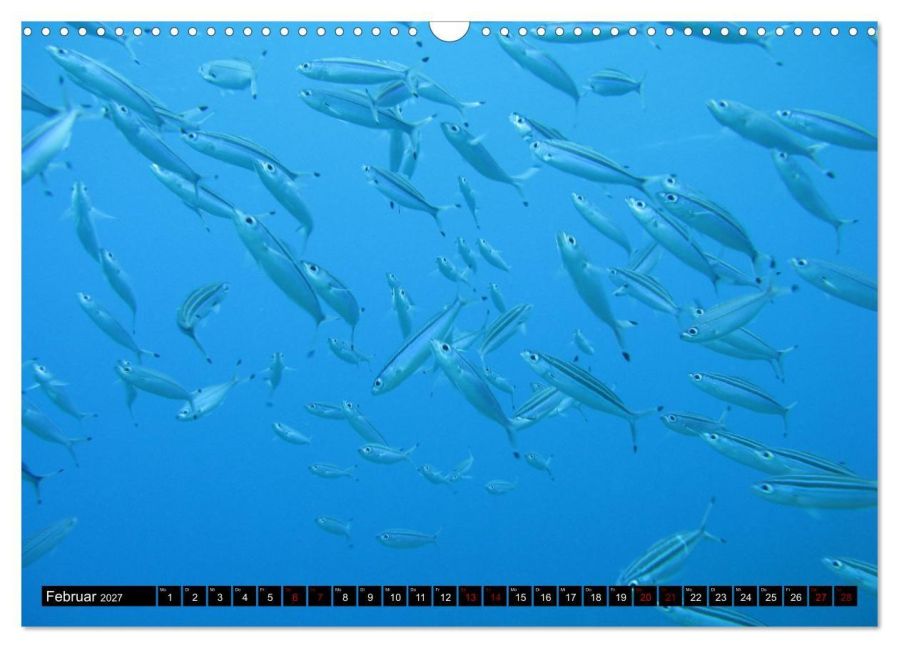 InsideView 7