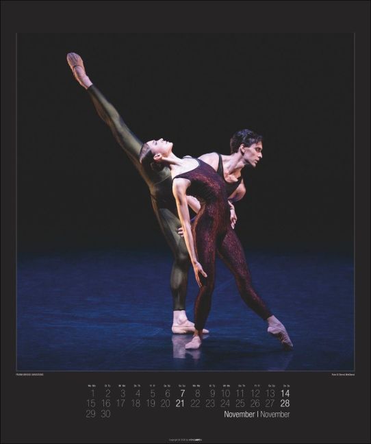 InsideView 11
