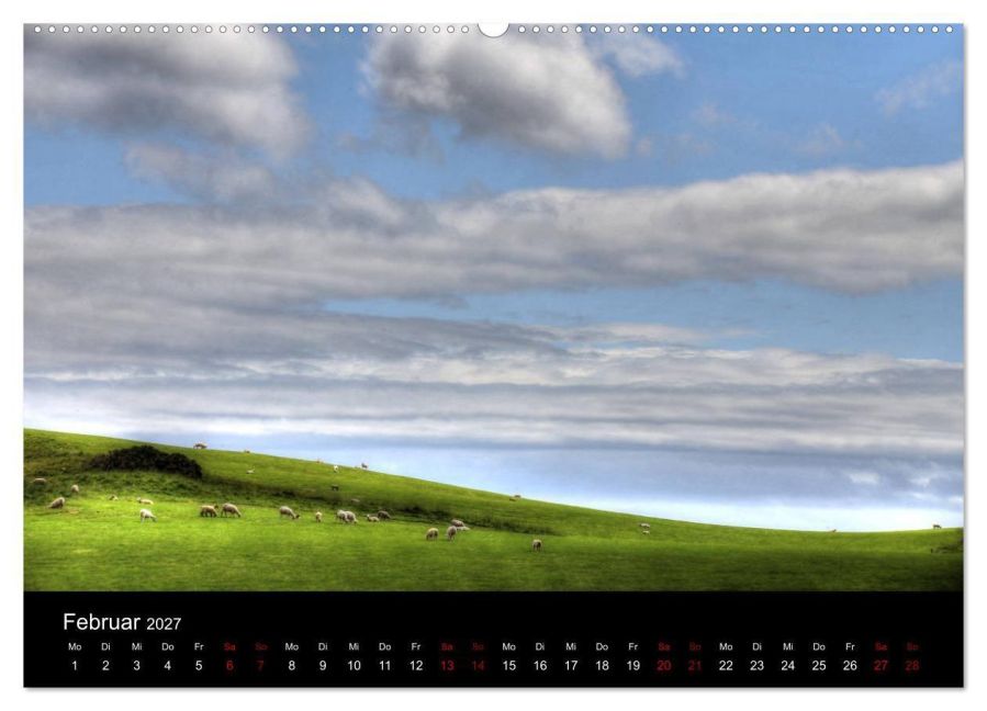 InsideView 7