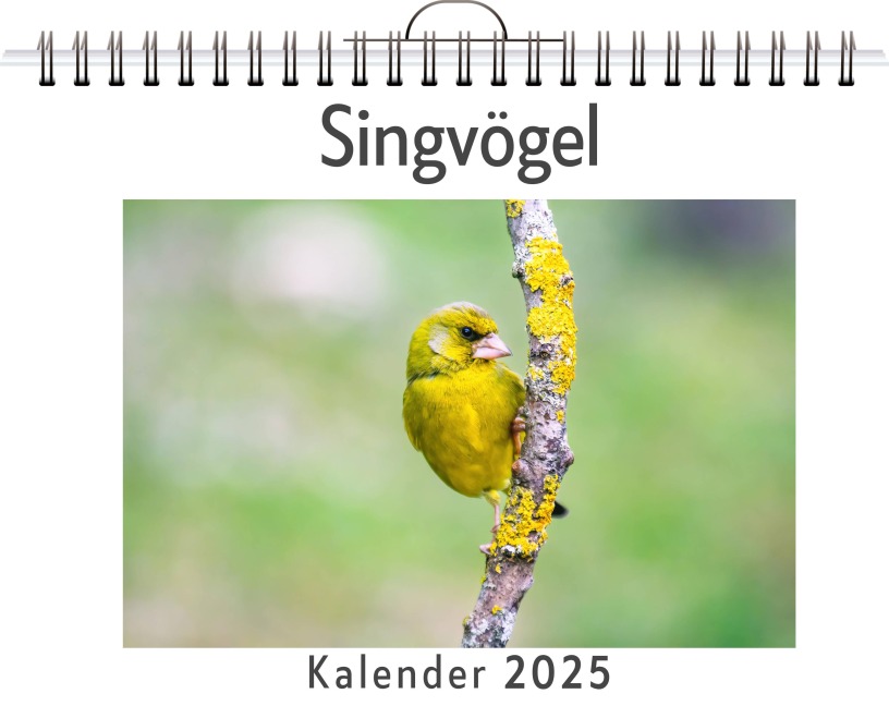 Singvögel - Linus Schubert