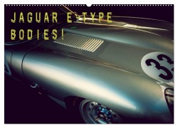 Cover-Bild zum Titel 'Jaguar E-Type - Bodies (Wandkalender 2026 DIN A2 quer), CALVENDO Monatskalender' von 'Johann Hinrichs'