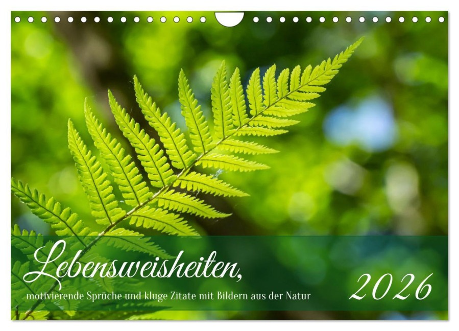 Lebensweisheiten, motivierende Sprüche und kluge Zitate mit Bildern der Natur (Wandkalender 2026 DIN A4 quer), CALVENDO Monatskalender - Angela Rohde