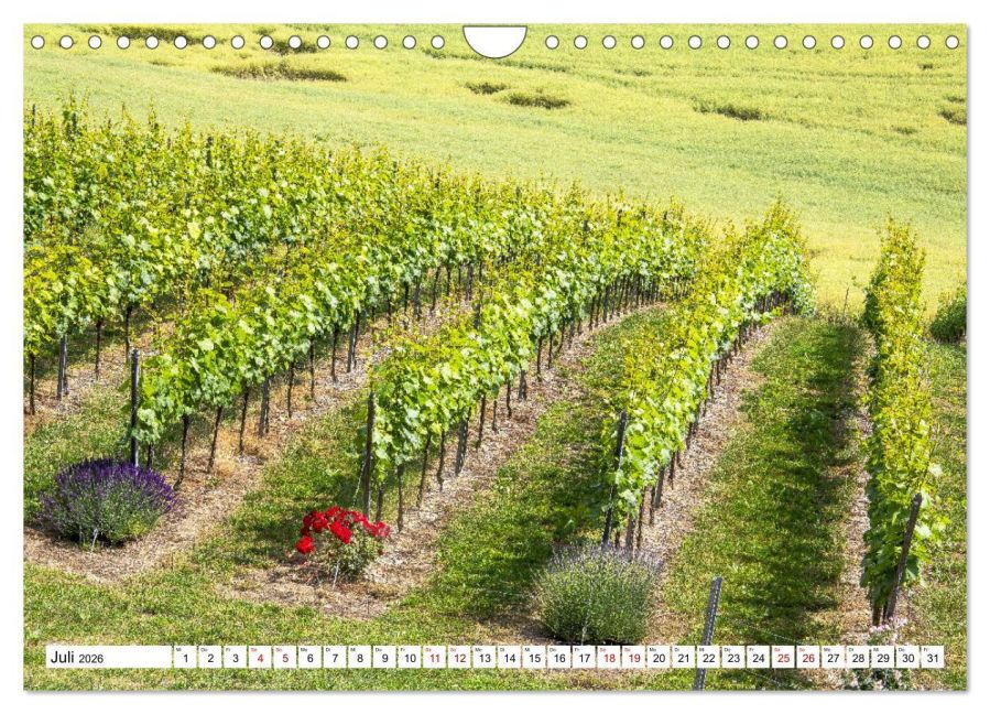 InsideView 12