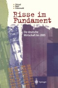 Cover-Bild zum Titel 'Risse im Fundament' von 'Adrian Ottnad, Reinhard Grünewald, Stefanie Wahl'