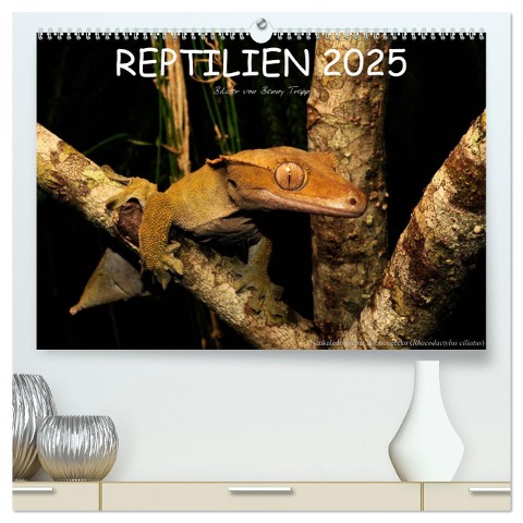 REPTILIEN (hochwertiger Premium Wandkalender 2025 DIN A2 quer), Kunstdruck in Hochglanz - Benny Trapp