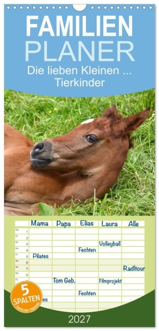 Familienplaner 2027 - Die lieben Kleinen... Tierkinder einfach zum Knuddeln mit 5 Spalten (Wandkalender, 21 x 45 cm) CALVENDO - Gugigei