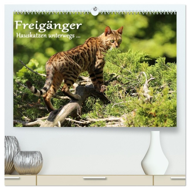 Freigänger - Hauskatzen unterwegs (hochwertiger Premium Wandkalender 2026 DIN A2 quer), Kunstdruck in Hochglanz - Werner Schmäing