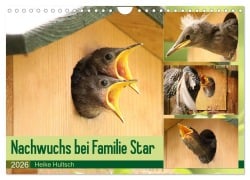 Cover-Bild zum Titel 'Nachwuchs bei Familie Star (Wandkalender 2026 DIN A4 quer), CALVENDO Monatskalender' von 'Heike Hultsch'