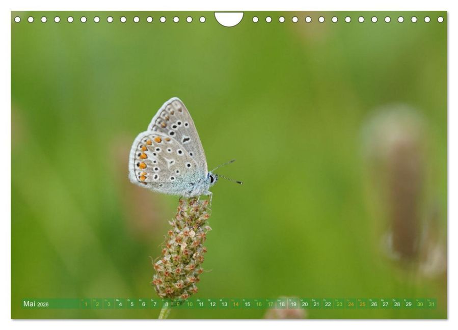 InsideView 10
