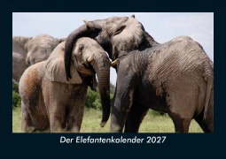 Cover-Bild zum Titel 'Der Elefantenkalender 2027 Fotokalender DIN A5' von 'Tobias Schmitt, Kevin Heber'