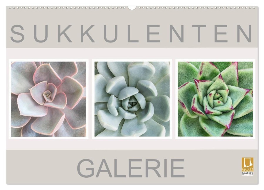 Sukkulenten Galerie (Wandkalender 2026 DIN A2 quer), CALVENDO Monatskalender - Beate Wurster