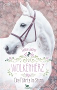 Cover-Bild zum Titel 'Wolkenherz - Eine Fährte im Sturm' von 'Sabine Giebken'