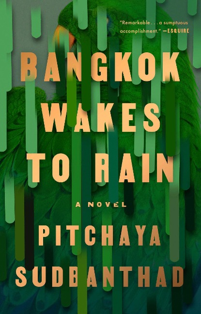 Bangkok Wakes to Rain - Pitchaya Sudbanthad